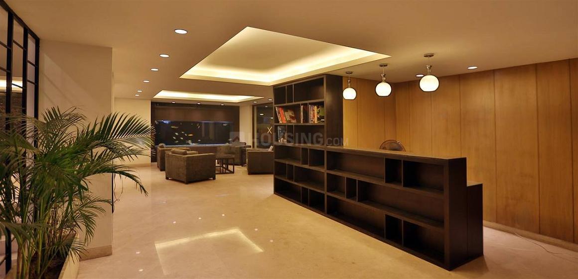 Aarone Botanica - Image 7