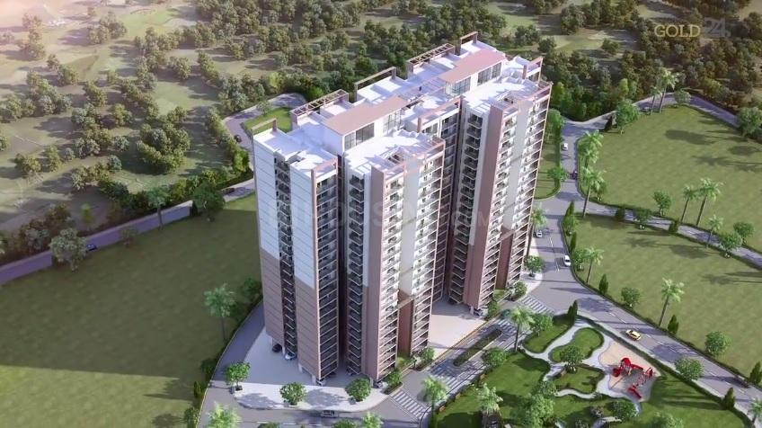 Wall Rock Victory Gold 24 - Image 6