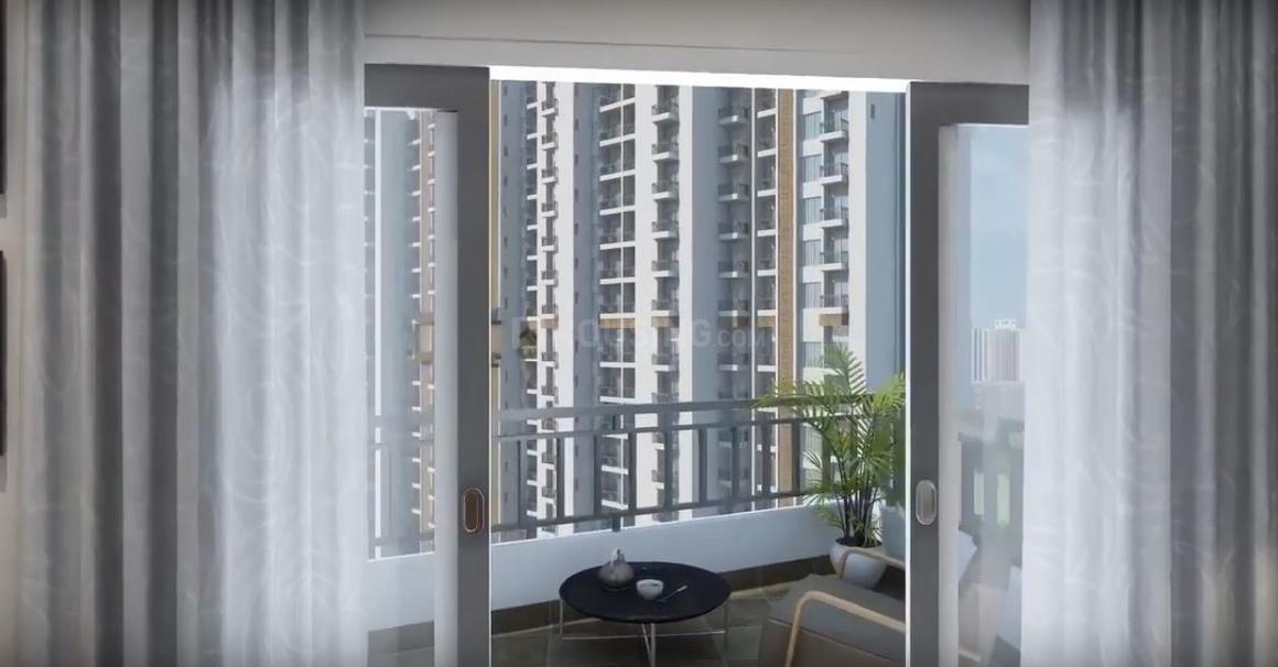 ACE Divino - Image 22