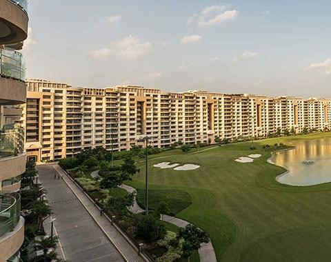 Ambience Caitriona - Image 6