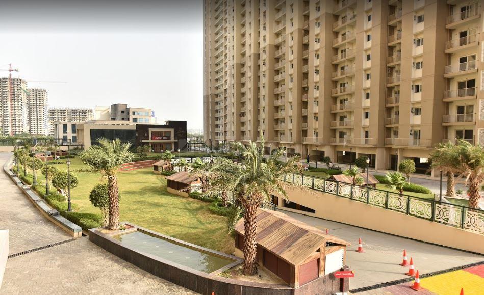 Saya Zion - Image 29