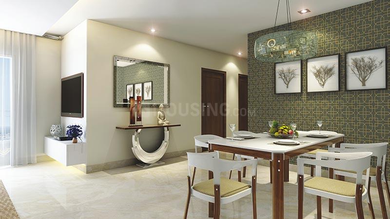 ACE Divino - Image 55