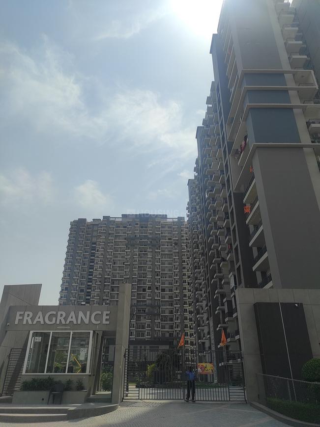 Fragrance Homes - Image 3