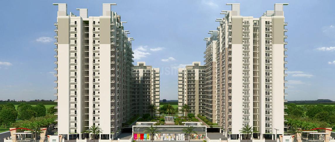 ACE Group Platinum Zeta 1 - Image 15