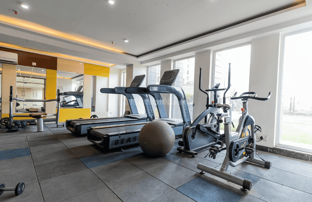 City Grace - Image 8