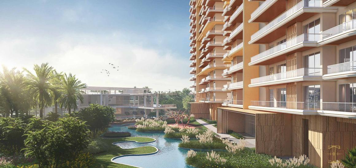 Ivory County Gold - Image 10