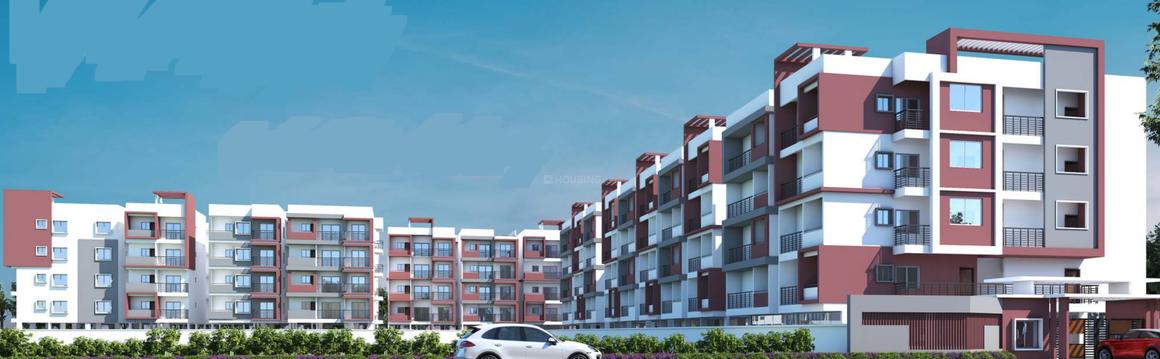 SDMV Elite - Image 4