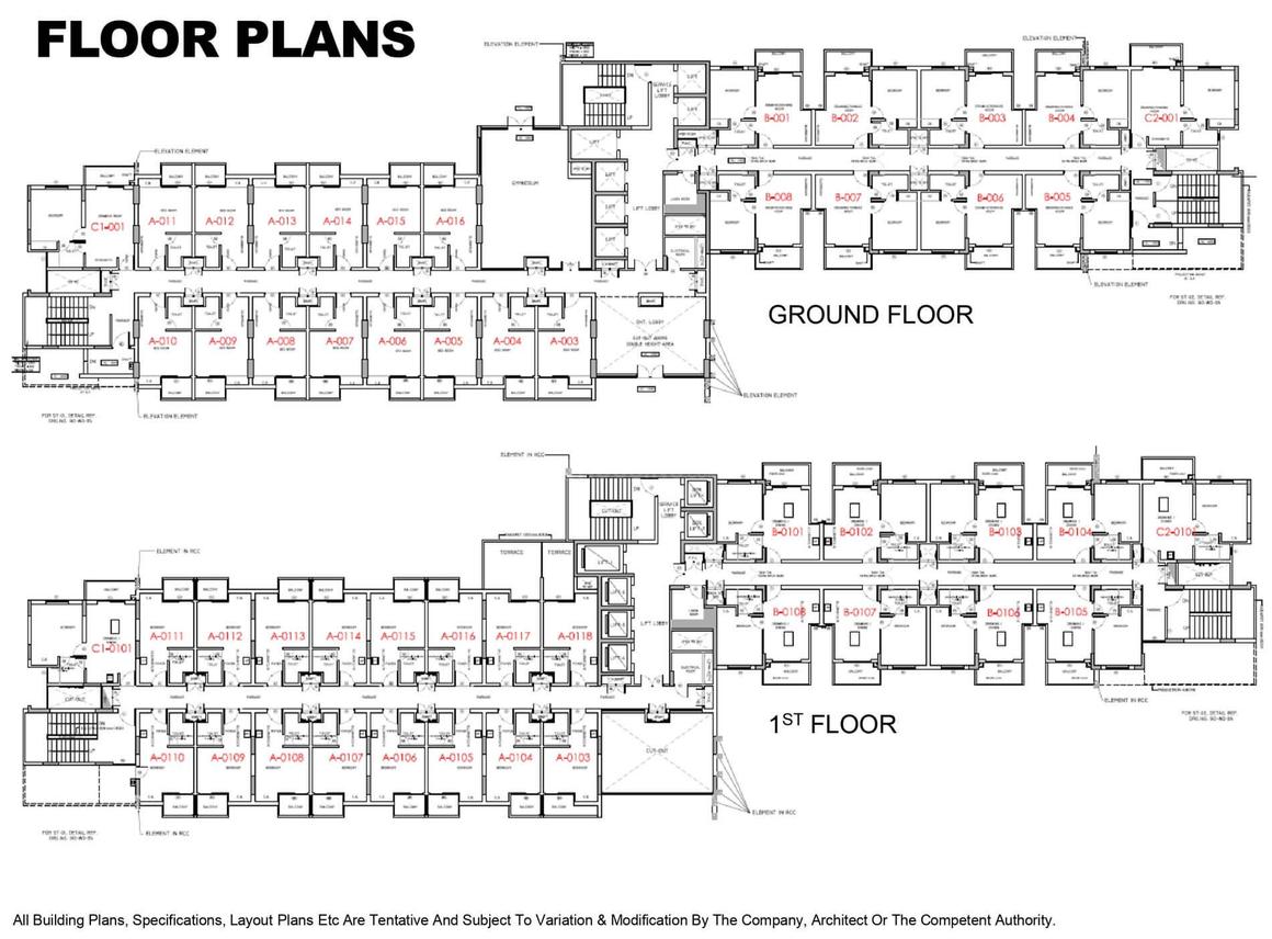 Beetle Orchid - Image 31