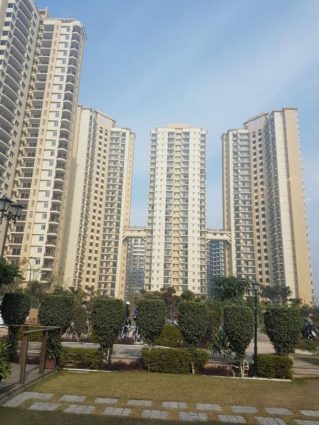 Dasnac The Jewel - Image 9