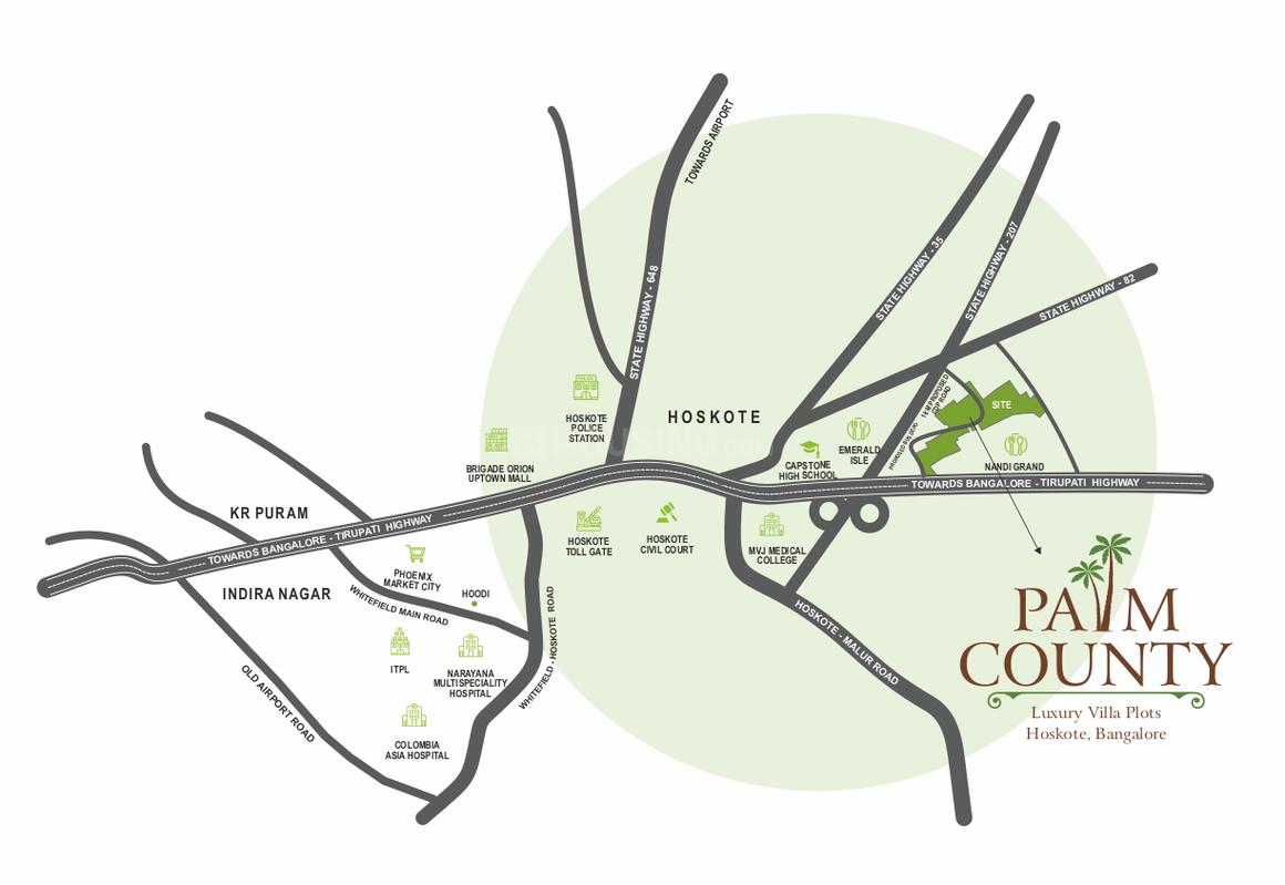 Palm County - Image 13