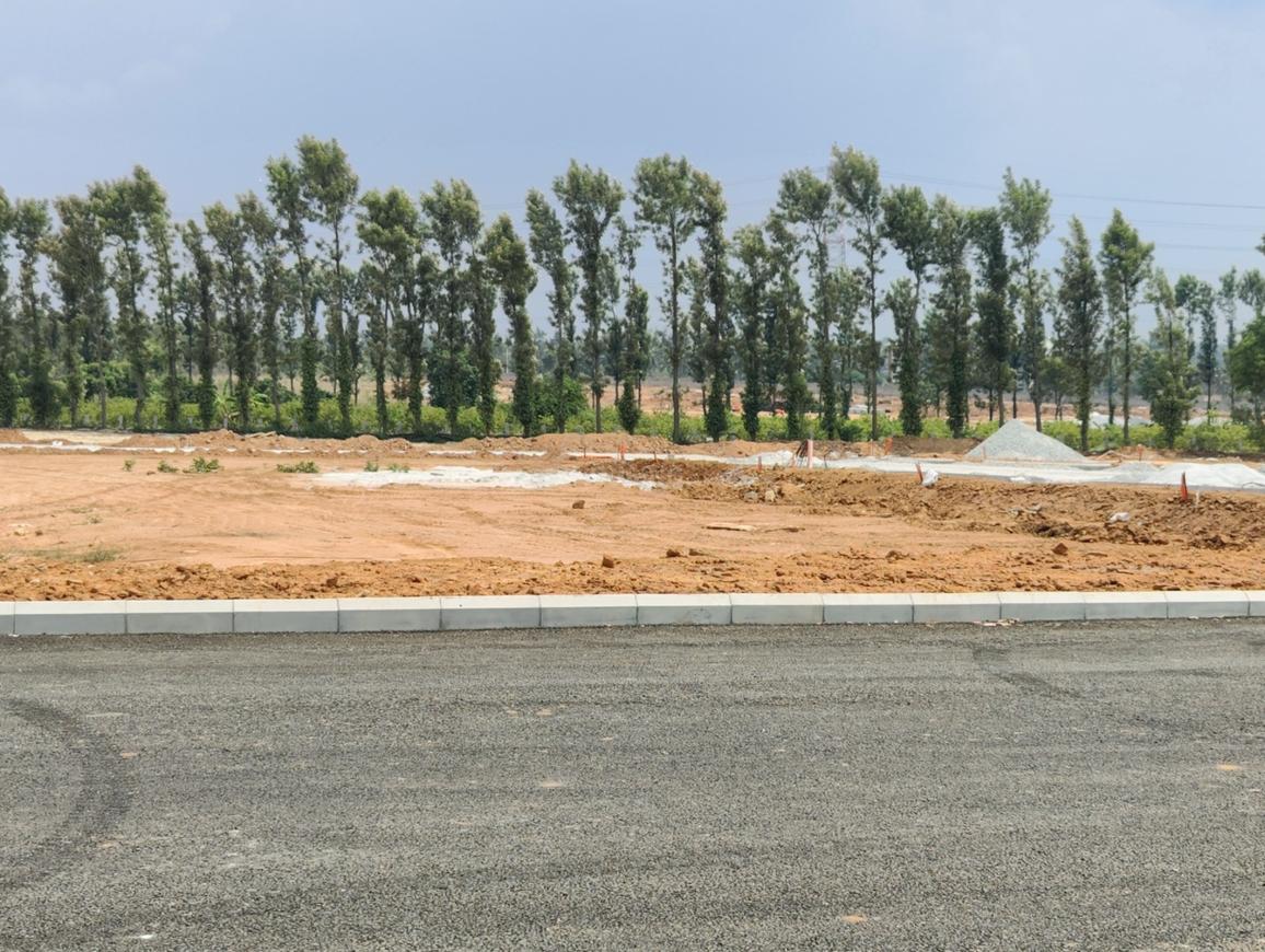 Adarsh Savana - Image 7