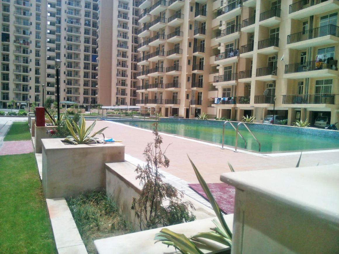 Skytech Matrott - Image 22