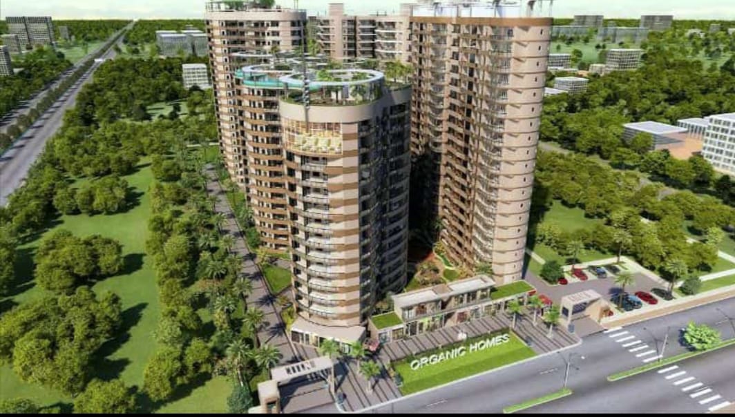 Rise Organic Homes - Image 5