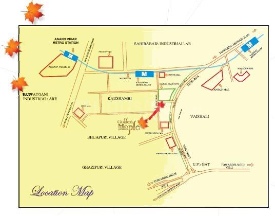 Parakh Golden Maple - Image 11