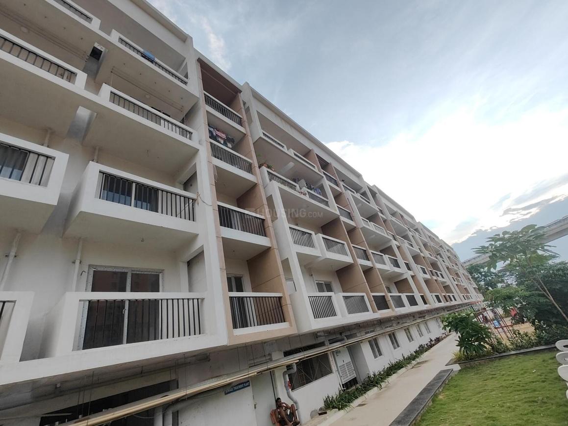 Mahaveer Carnation - Image 9