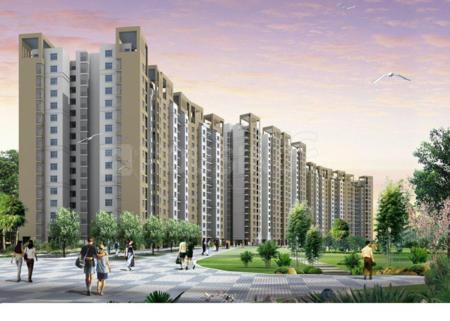 Vardhman Camellias - Image 3