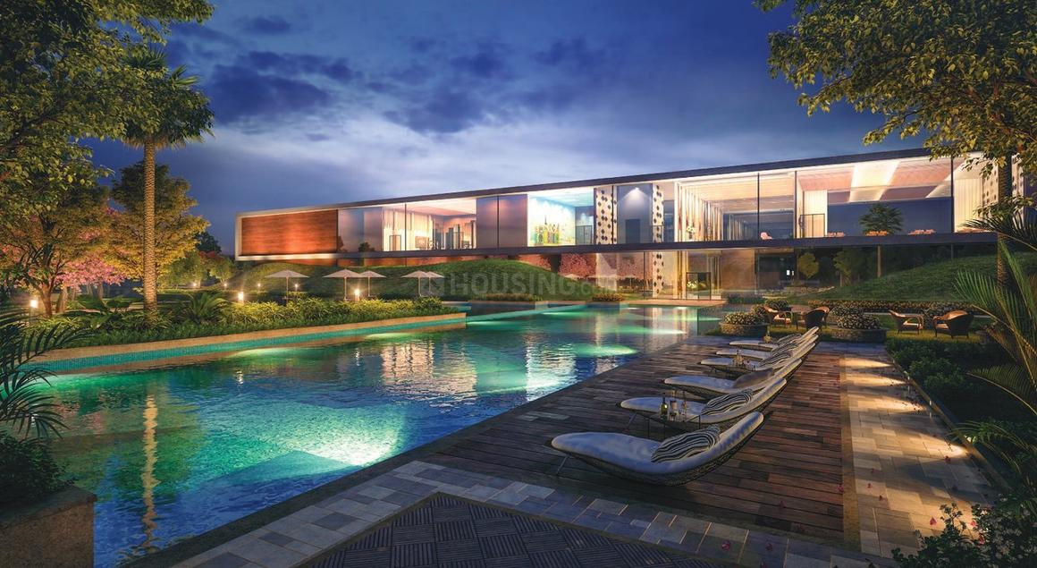 Prateek Canary - Image 17