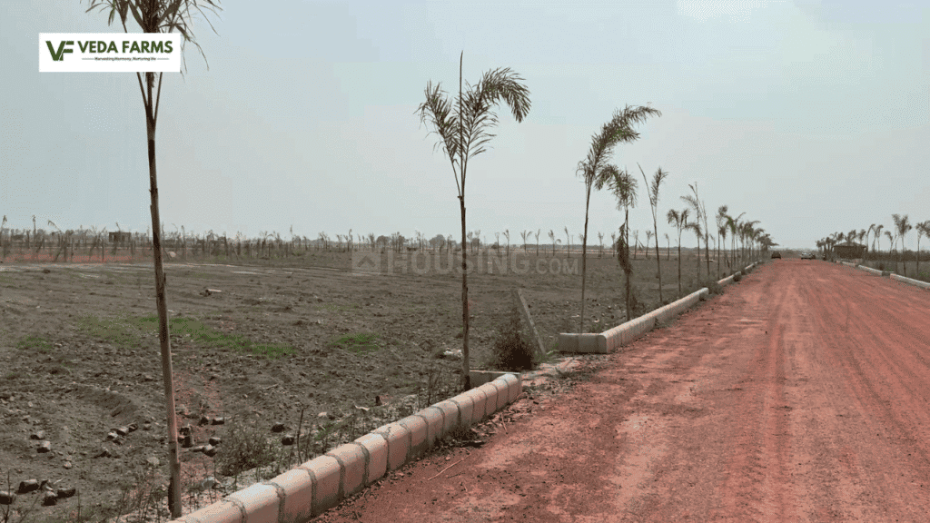 Veda Farm - Image 14