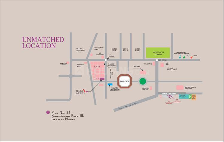 Beetle Orchid - Image 29