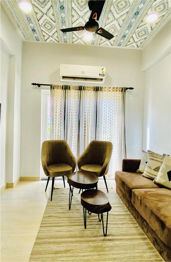 Beetle Orchid - Image 12