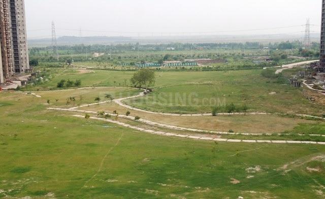 Jaypee Aman - Image 30