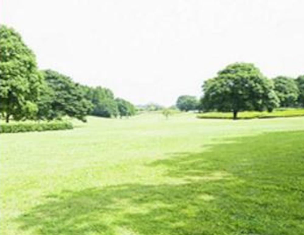 Jaypee Sunnyvale Homes Mirzapur - Image 4