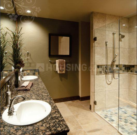 Parakh Golden Maple - Image 7