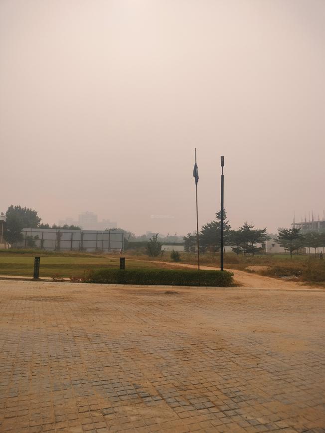 Lion Green Valley - Image 5