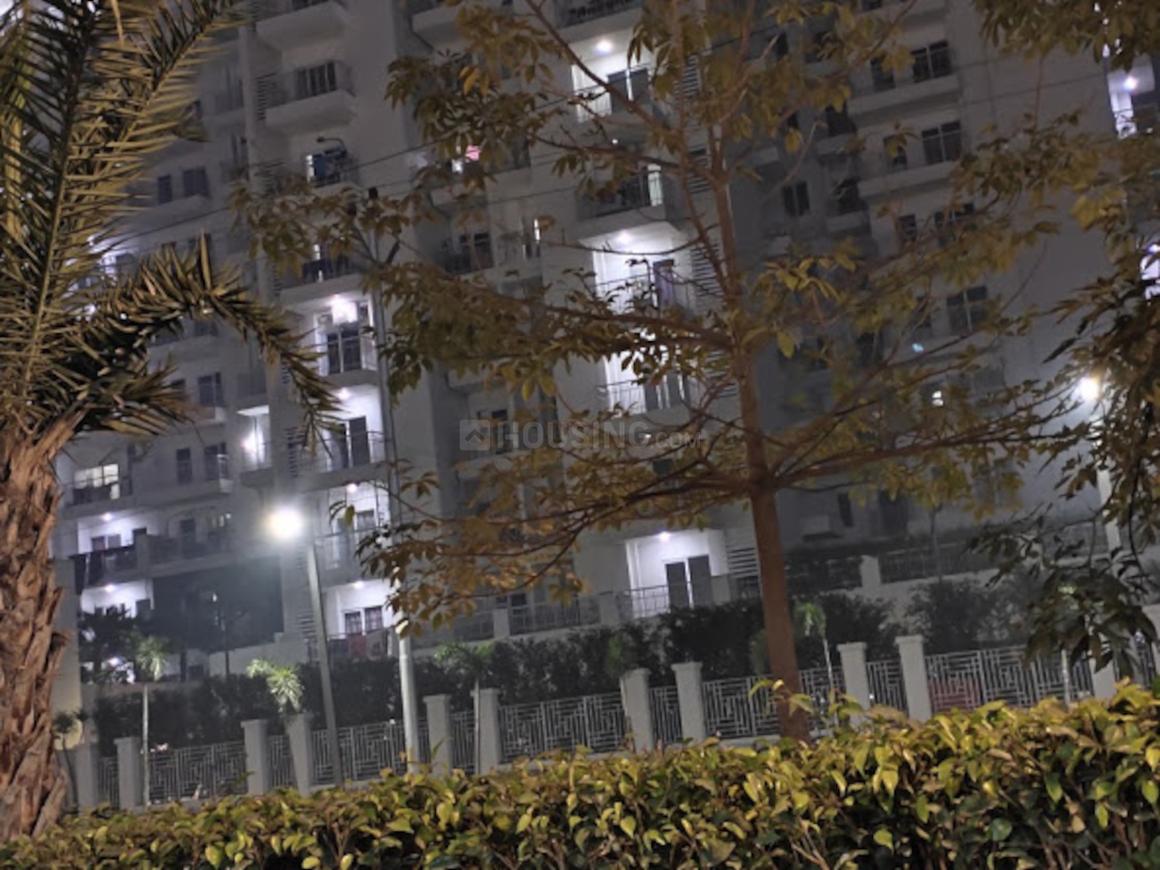 AFOWO Raksha Addela - Image 4