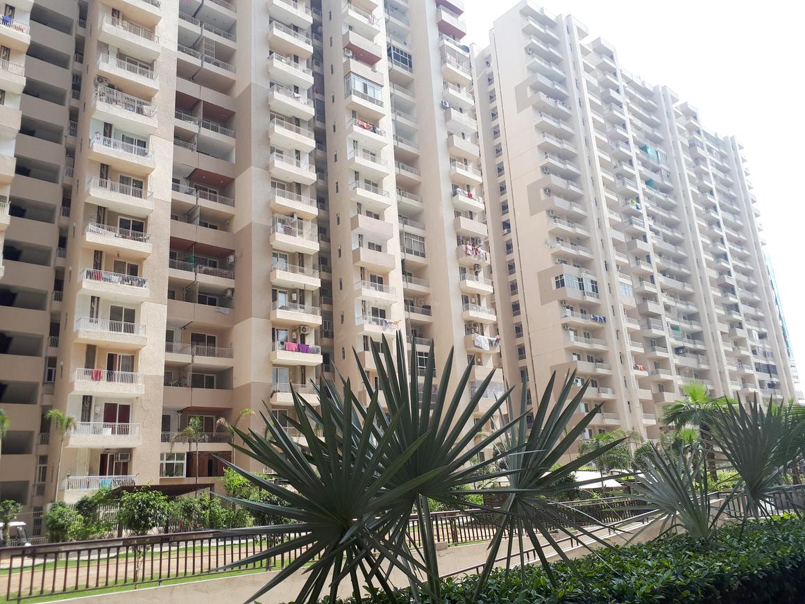 ACE Group Platinum Zeta 1 - Image 16