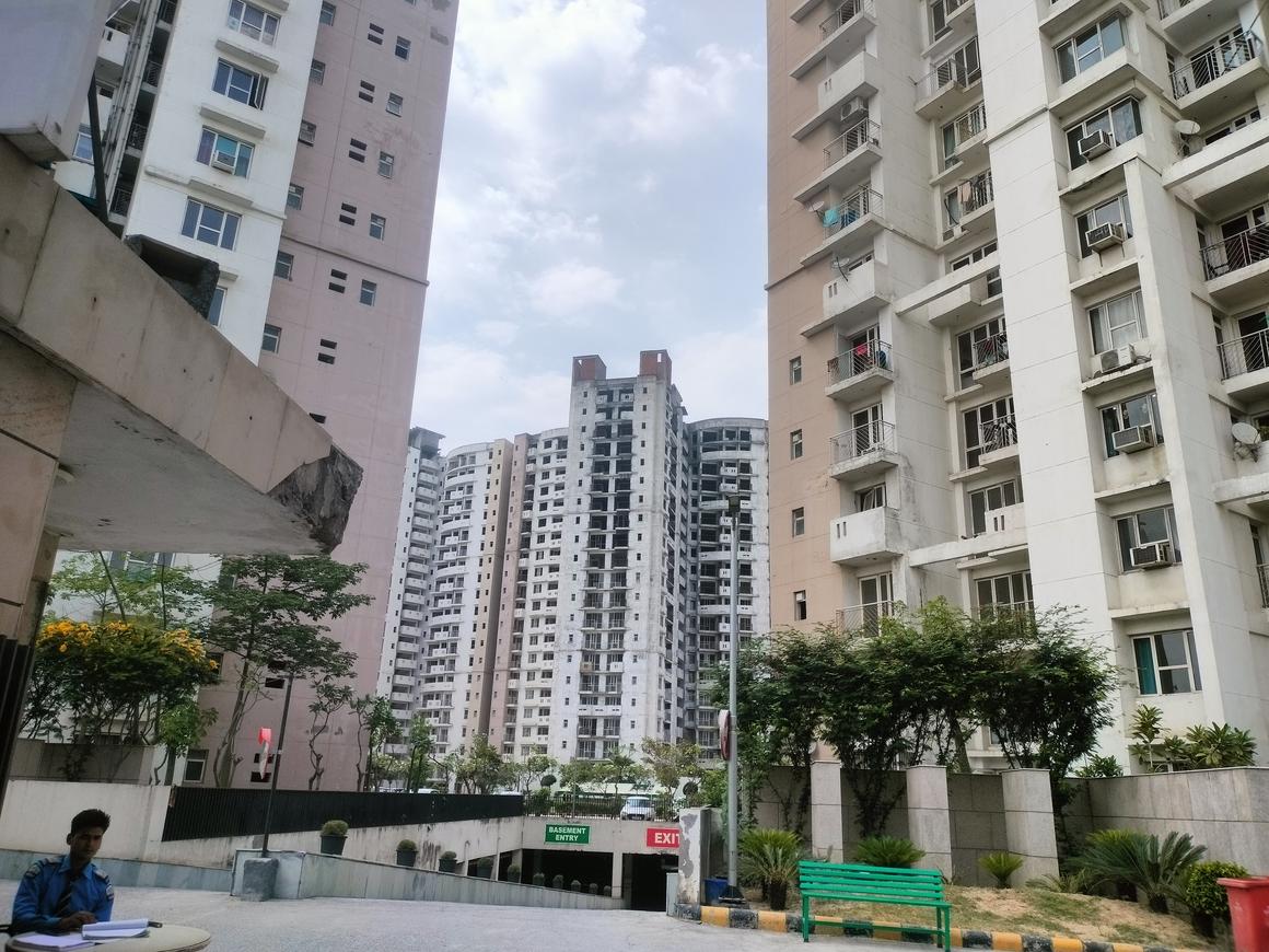 Logix Blossom Greens - Image 5