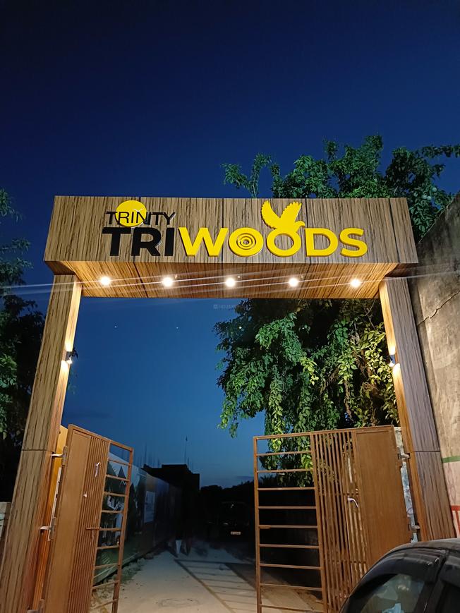 Trinity Triwoods - Image 7