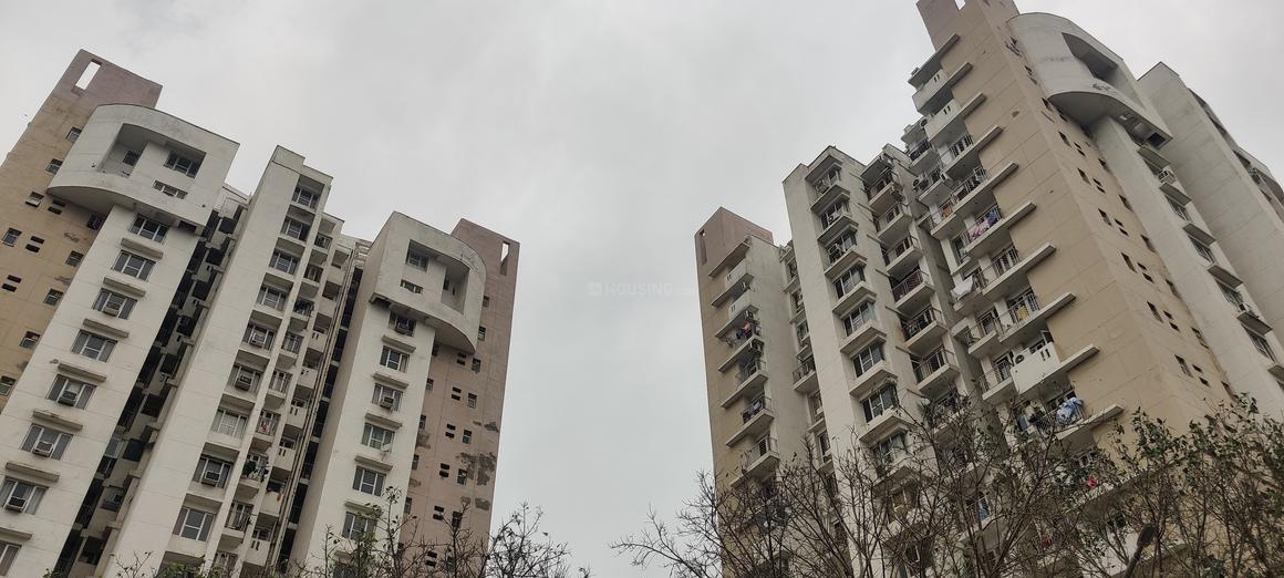 Logix Blossom Greens - Image 6