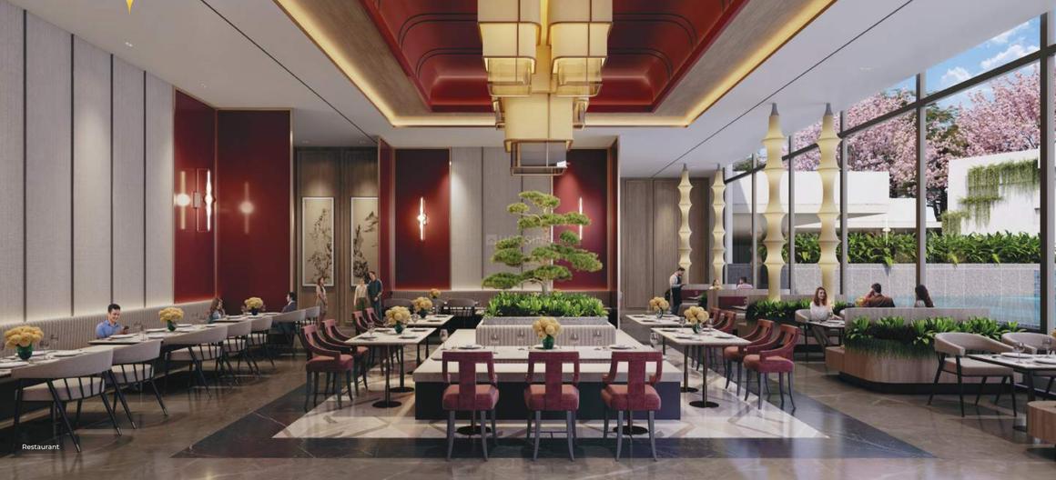 RG Pleiaddes - Image 12