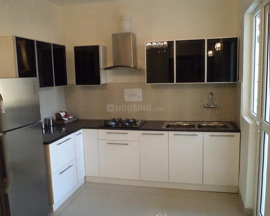 Sethi Max Royal - Image 45