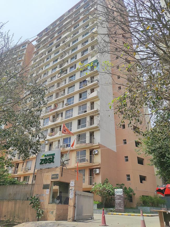 Logix Blossom Zest - Image 3