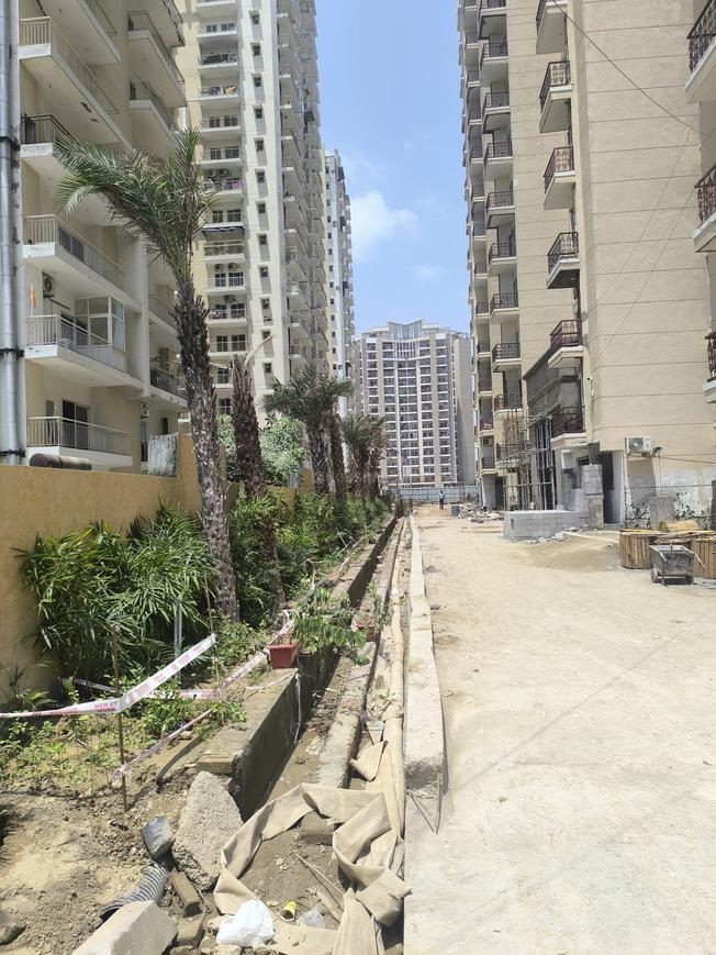 The Valley - Image 44