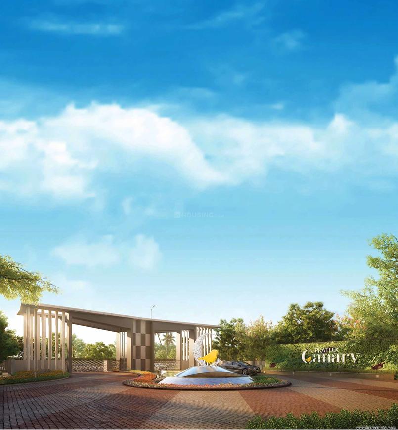 Prateek Canary - Image 18