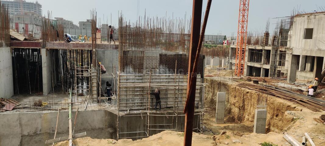 Irish Platinum - Image 32