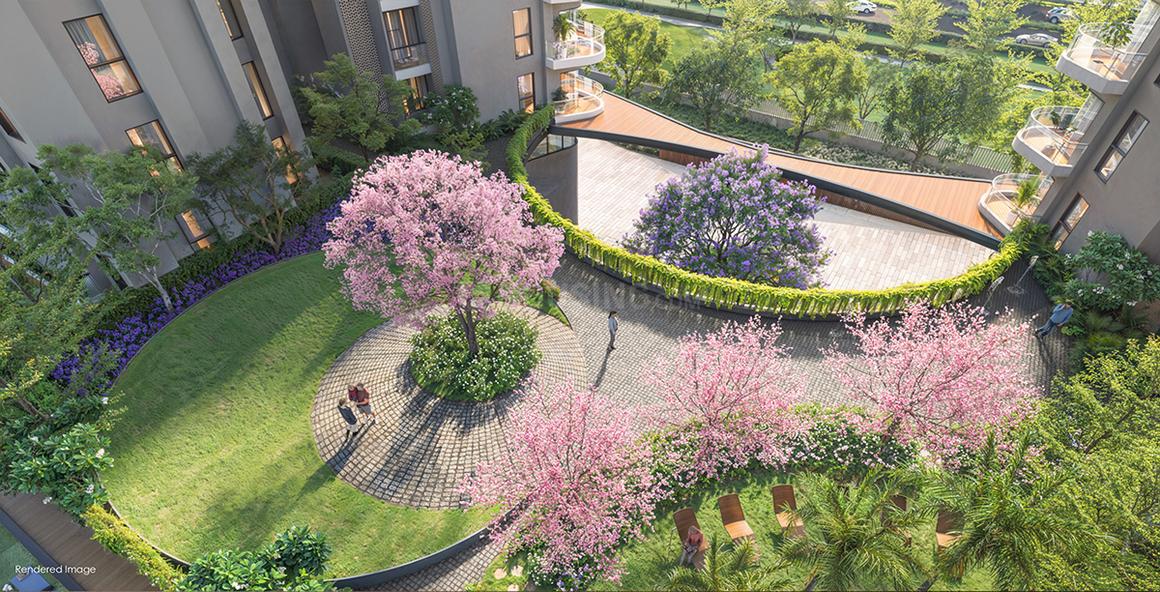 ACE Verde - Image 11