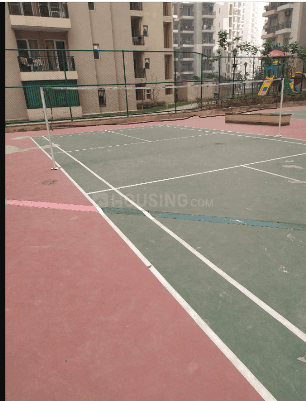 Exotica Dreamville - Image 25