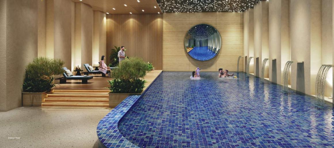 RG Pleiaddes - Image 14