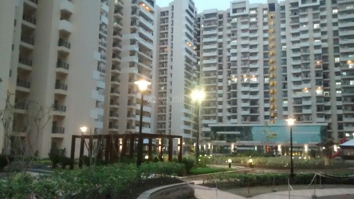 Exotica Fresco - Image 12