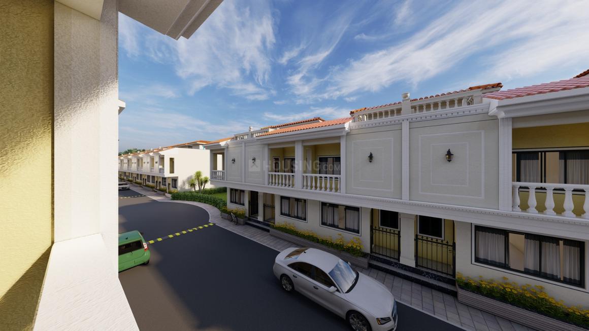 Trinity Primus - Image 3