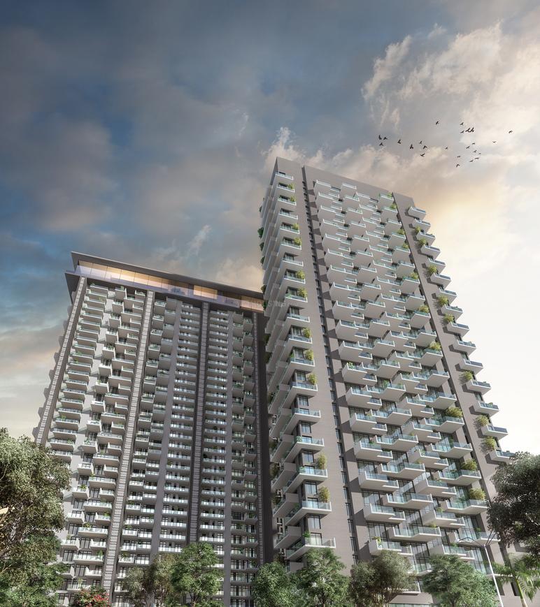 Apex D Rio - Image 4