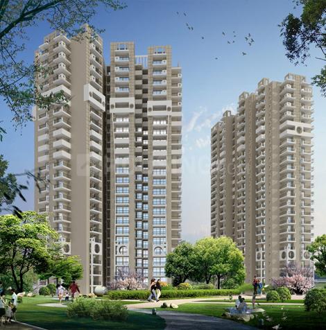 Keltech Kumar Imperial Greens - Image 2