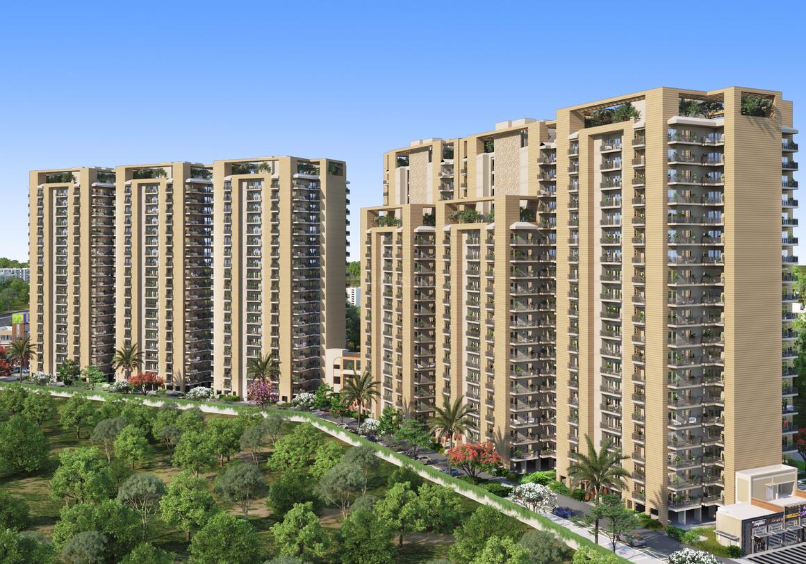 Sriflex City - Image 4