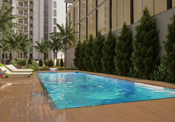 Renox Thrive - Image 14