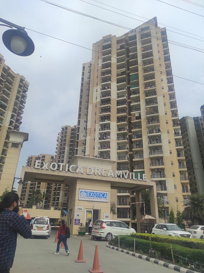 Exotica Dreamville - Image 5