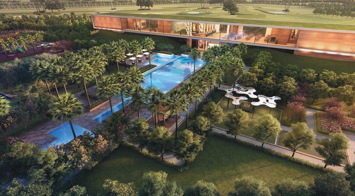 Prateek Canary - Image 19